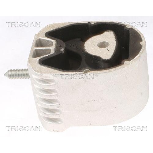 TRISCAN Lagerung, Motor 8505 23102