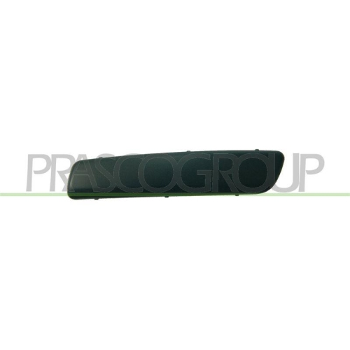 PRASCO Zier-/Schutzleiste, Sto&szlig;f&auml;nger RN3251253