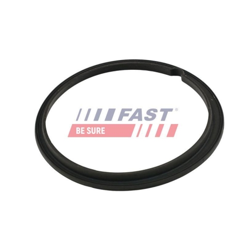 FAST Dichtung, Kraftstoffpumpe FT48502
