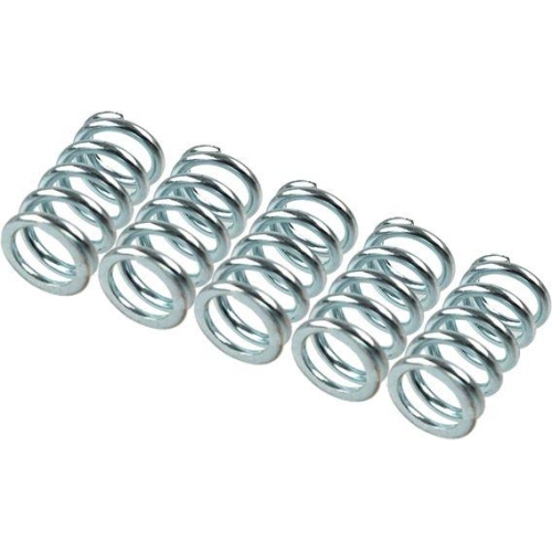 TRW Kupplungsfedernsatz MEF123-5