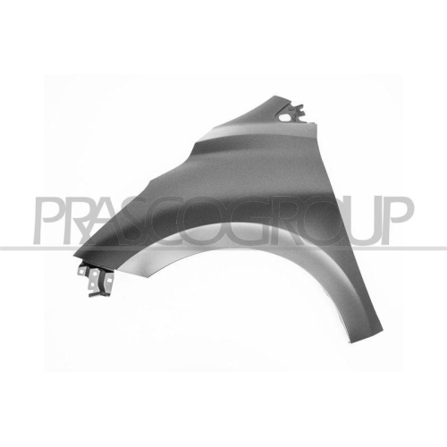 PRASCO Kotfl&uuml;gel DS0163004