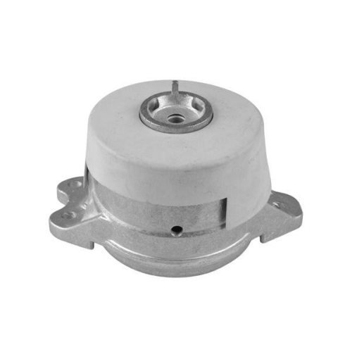 TEDGUM Lagerung, Motor TED42670