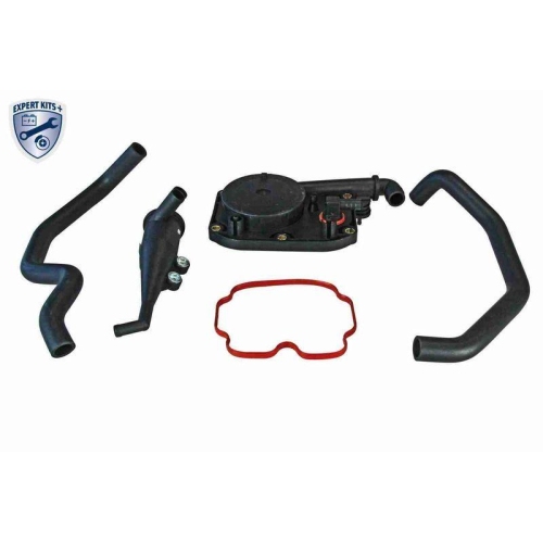VAICO Reparatursatz, Kurbelgehäuseentlüftung EXPERT KITS + V20-0006