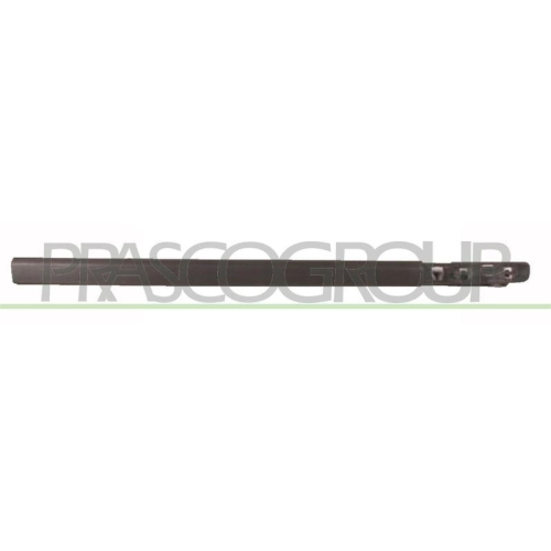 PRASCO Zier-/Schutzleiste, T&uuml;r RN3251403