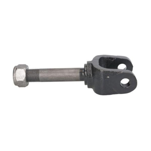 S-TR Federbeinaufnahme STR-1202265