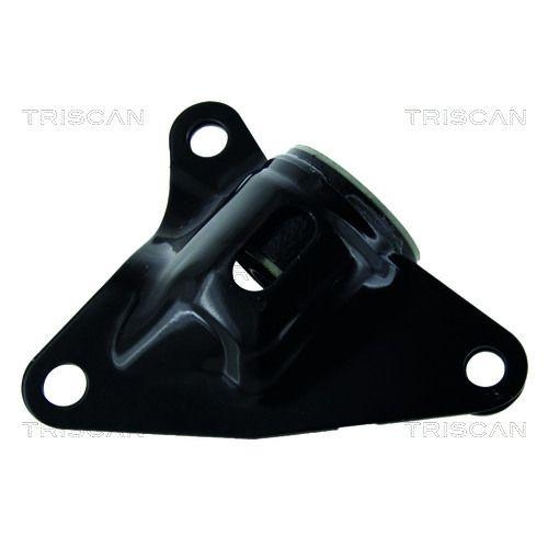 TRISCAN Lagerung, Lenker 8500 40805