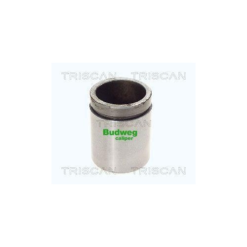 TRISCAN Kolben, Bremssattel 8170 234527