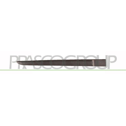 PRASCO Zier-/Schutzleiste, T&uuml;r RN3251453