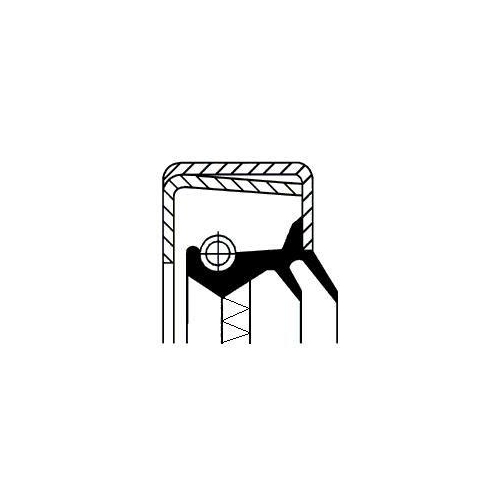 CORTECO Wellendichtring, Differential 12015251B