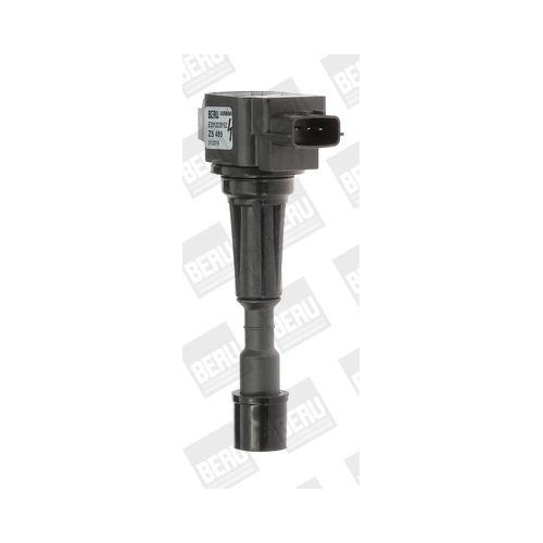 BorgWarner (BERU) Z&uuml;ndspule ZS489