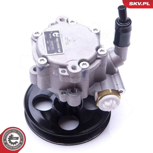 ESEN SKV Hydraulikpumpe, Lenkung 10SKV251