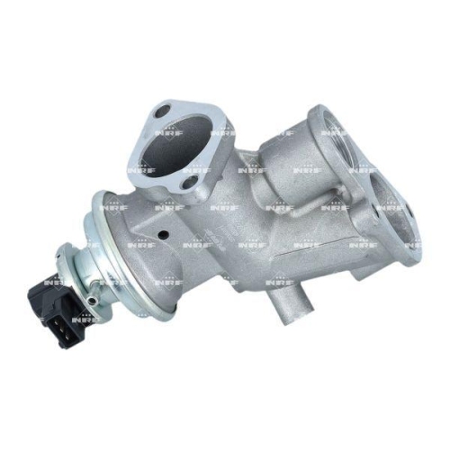 NRF AGR-Ventil 48702