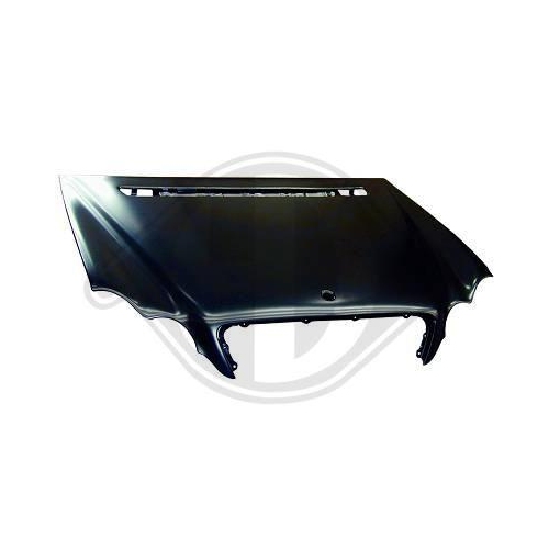 DIEDERICHS Motorhaube 1671000