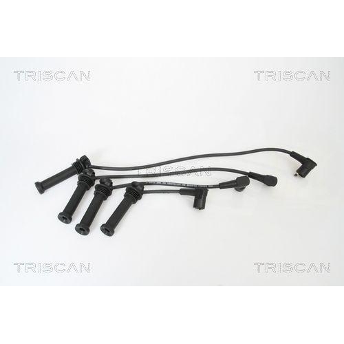 TRISCAN Z&uuml;ndleitungssatz 8860 16011