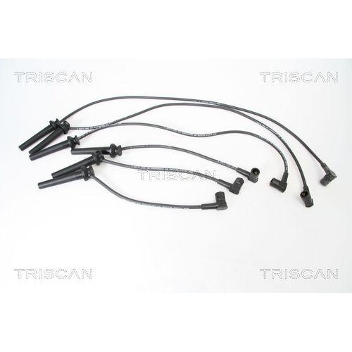 TRISCAN Z&uuml;ndleitungssatz 8860 16012
