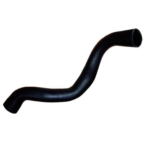 BUGIAD Ladeluftschlauch 81837