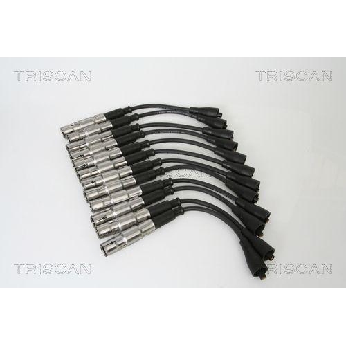 TRISCAN Z&uuml;ndleitungssatz 8860 23006