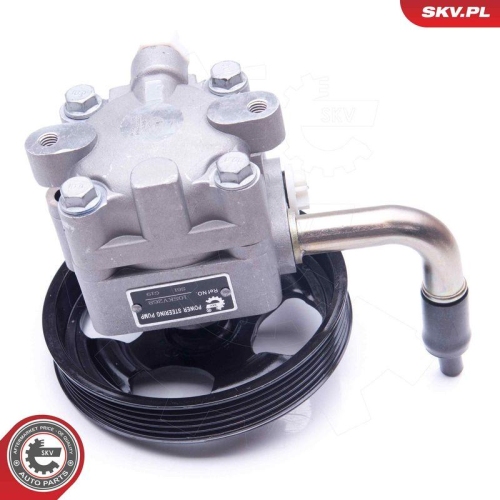 ESEN SKV Hydraulikpumpe, Lenkung 10SKV268