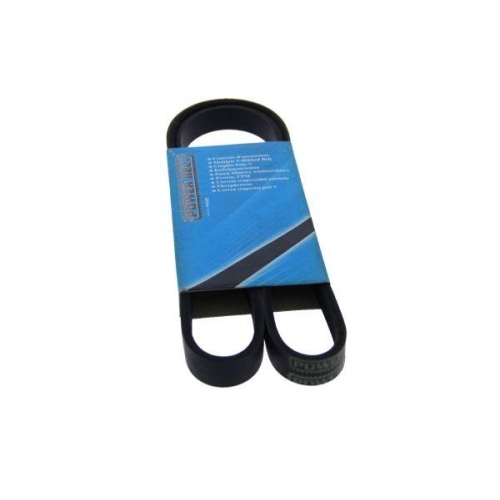 MAPCO Keilrippenriemen 251115