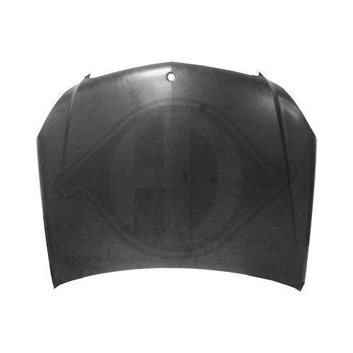 DIEDERICHS Motorhaube 1672100