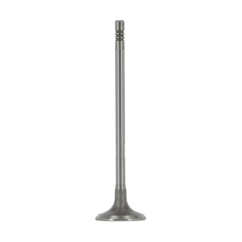 AE Einlassventil V95268
