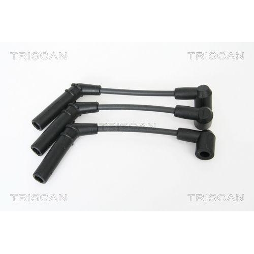 TRISCAN Z&uuml;ndleitungssatz 8860 24005