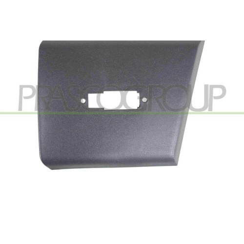PRASCO Zier-/Schutzleiste, T&uuml;r FT9321416