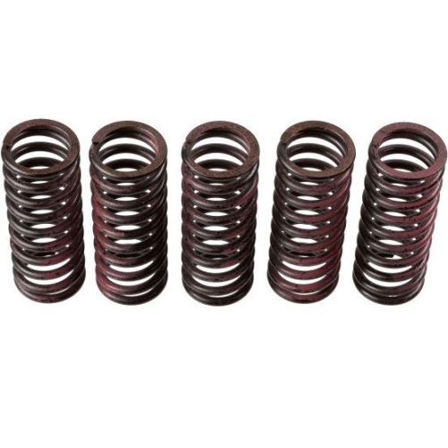 TRW Kupplungsfedernsatz MEF312-5