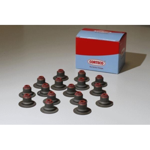 CORTECO Dichtungssatz, Ventilschaft 49137556