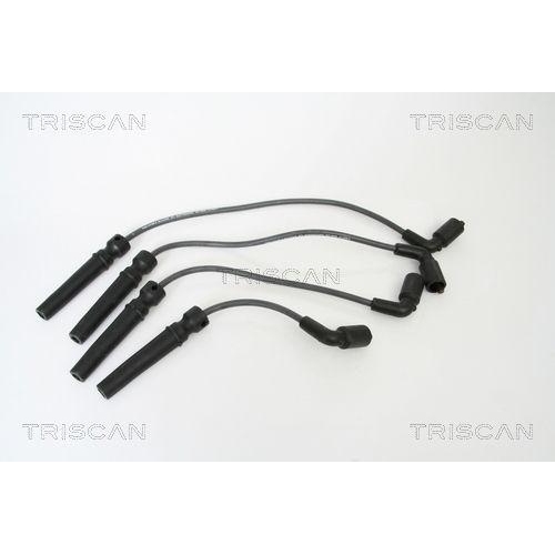 TRISCAN Z&uuml;ndleitungssatz 8860 24006