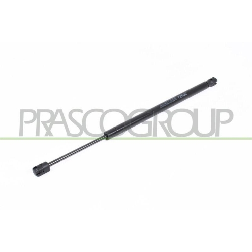 PRASCO Gasfeder, Koffer-/Laderaum FD4229053