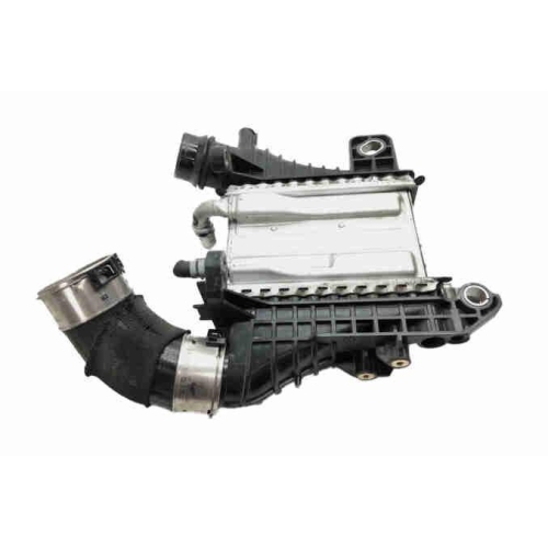 VEMO Ladeluftkühler Original VEMO Qualität V46-60-0091