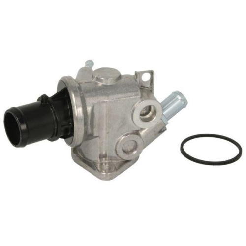 THERMOTEC Thermostat, K&uuml;hlmittel D2D004TT