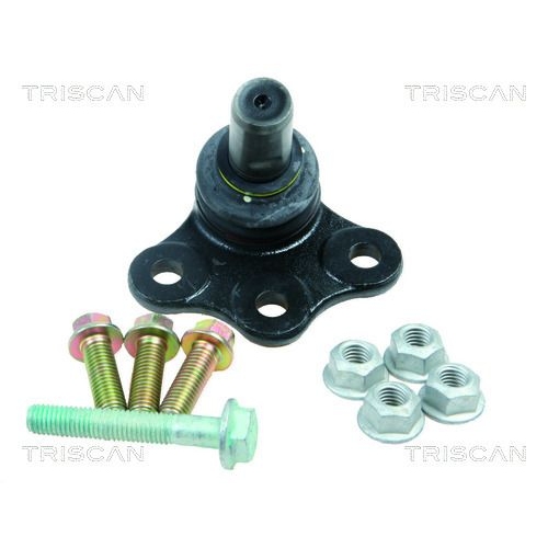 TRISCAN Trag-/Führungsgelenk 8500 65521