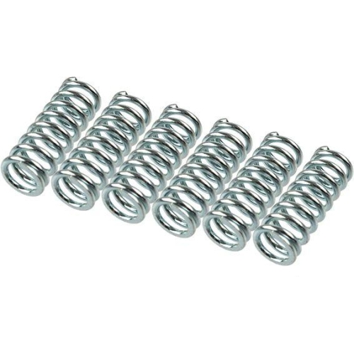 TRW Kupplungsfedernsatz MEF145-6