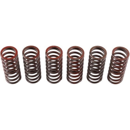 TRW Kupplungsfedernsatz MEF326-6