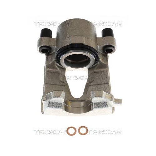 TRISCAN Bremssattel 8175 29189