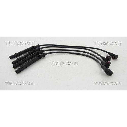 TRISCAN Z&uuml;ndleitungssatz 8860 25010