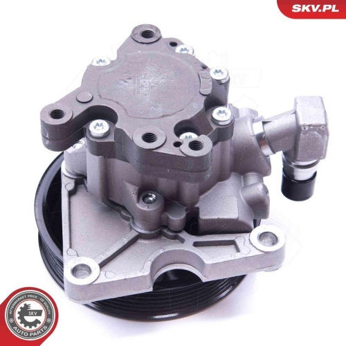 ESEN SKV Hydraulikpumpe, Lenkung 10SKV270