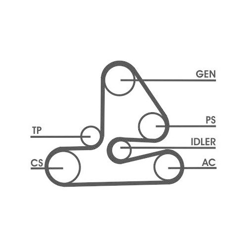 CONTINENTAL CTAM Keilrippenriemensatz 6PK1613D1