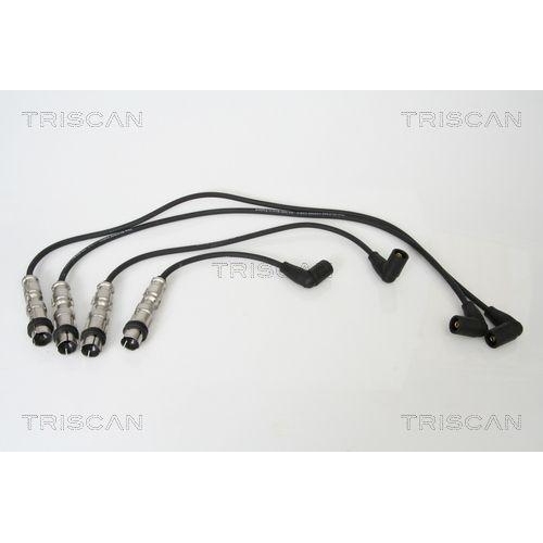 TRISCAN Z&uuml;ndleitungssatz 8860 29010