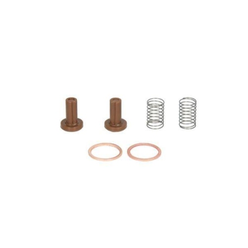 ENGITECH Reparatursatz, Kraftstoffpumpe ENT200008