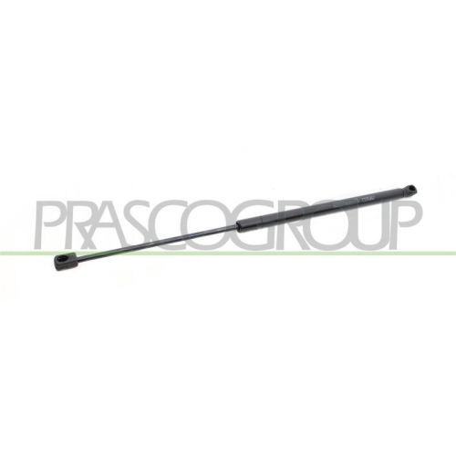 PRASCO Gasfeder, Koffer-/Laderaum FD4249055
