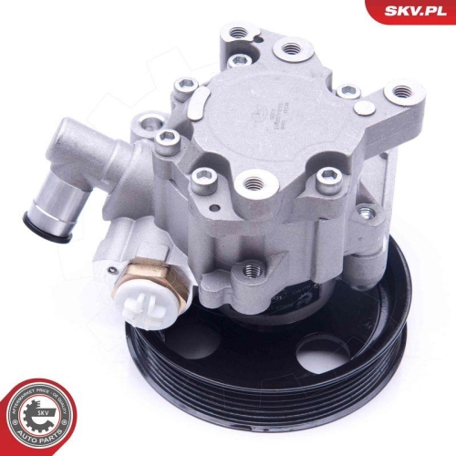 ESEN SKV Hydraulikpumpe, Lenkung 10SKV271
