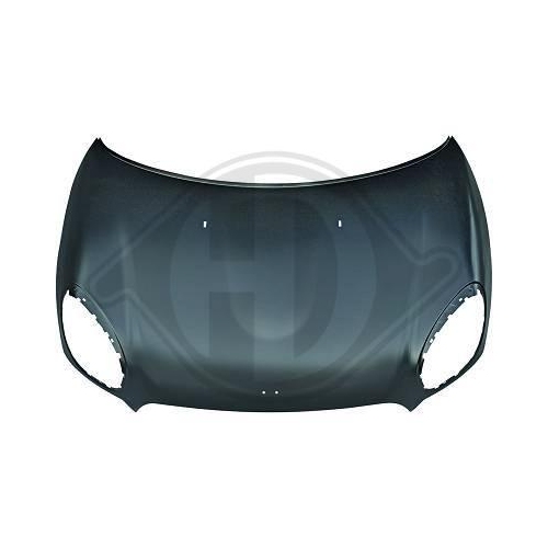 DIEDERICHS Motorhaube 1207000