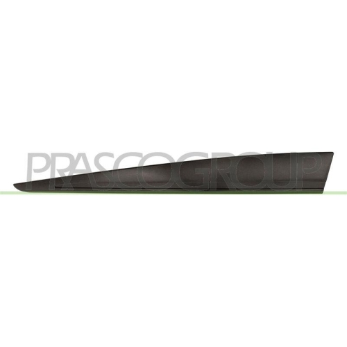 PRASCO Zier-/Schutzleiste, T&uuml;r RN3291406