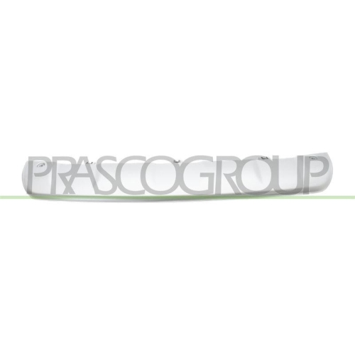 PRASCO Zier-/Schutzleiste, Sto&szlig;f&auml;nger PG5001265