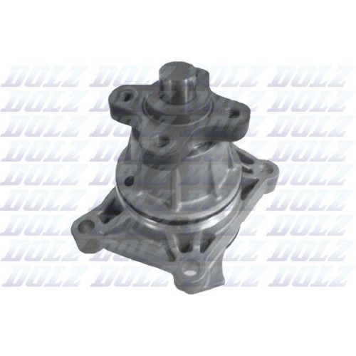 DOLZ Wasserpumpe, Motork&uuml;hlung S208