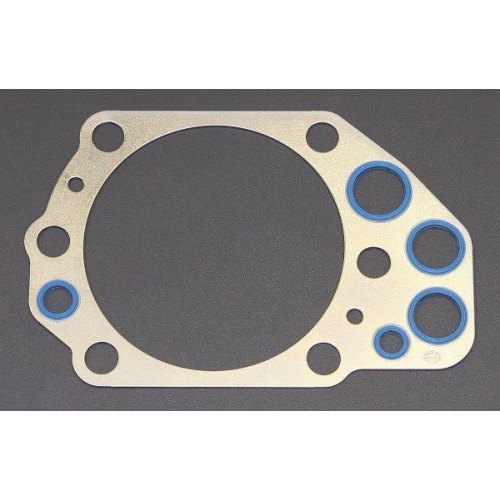 ELRING Dichtung, Zylinderkopf 893.463