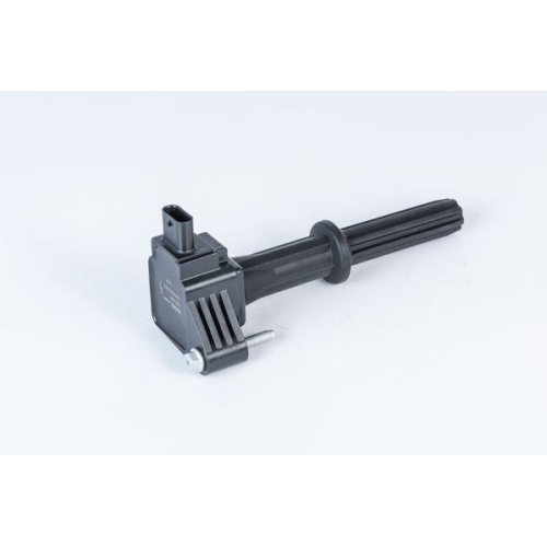 BorgWarner (BERU) Z&uuml;ndspule ZSE235